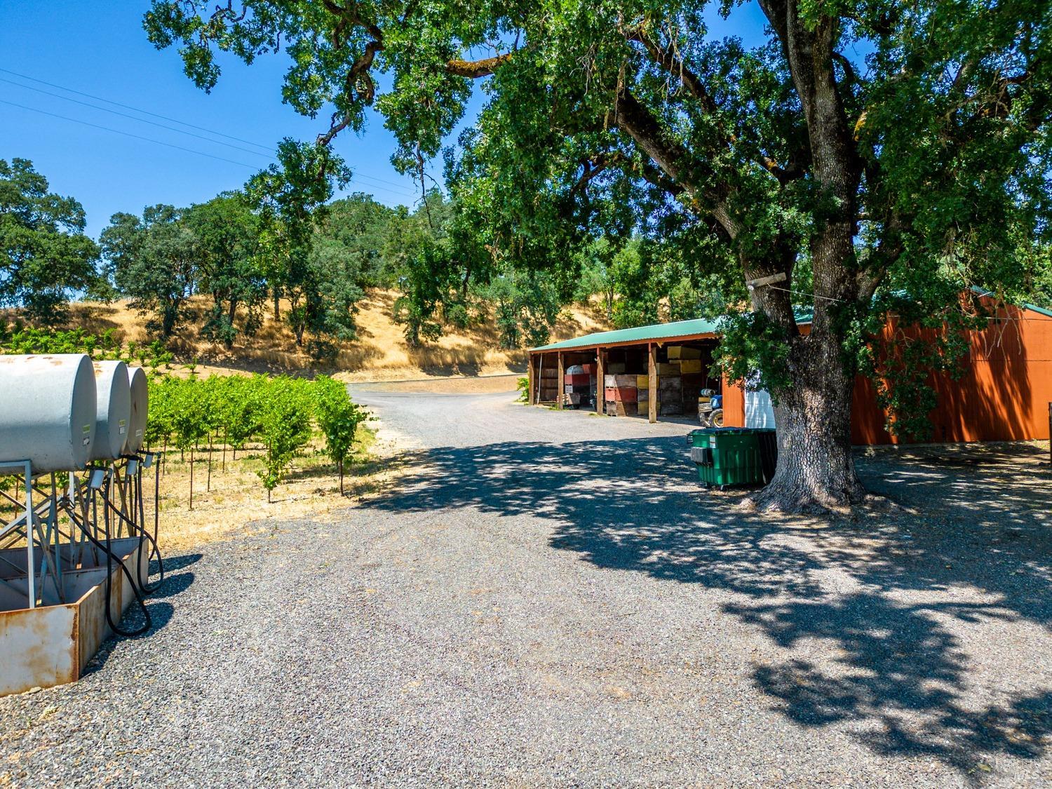 Ukiah, California, 95482, United States, 4 Bedrooms Bedrooms, ,3 BathroomsBathrooms,Residential,Active,1963393