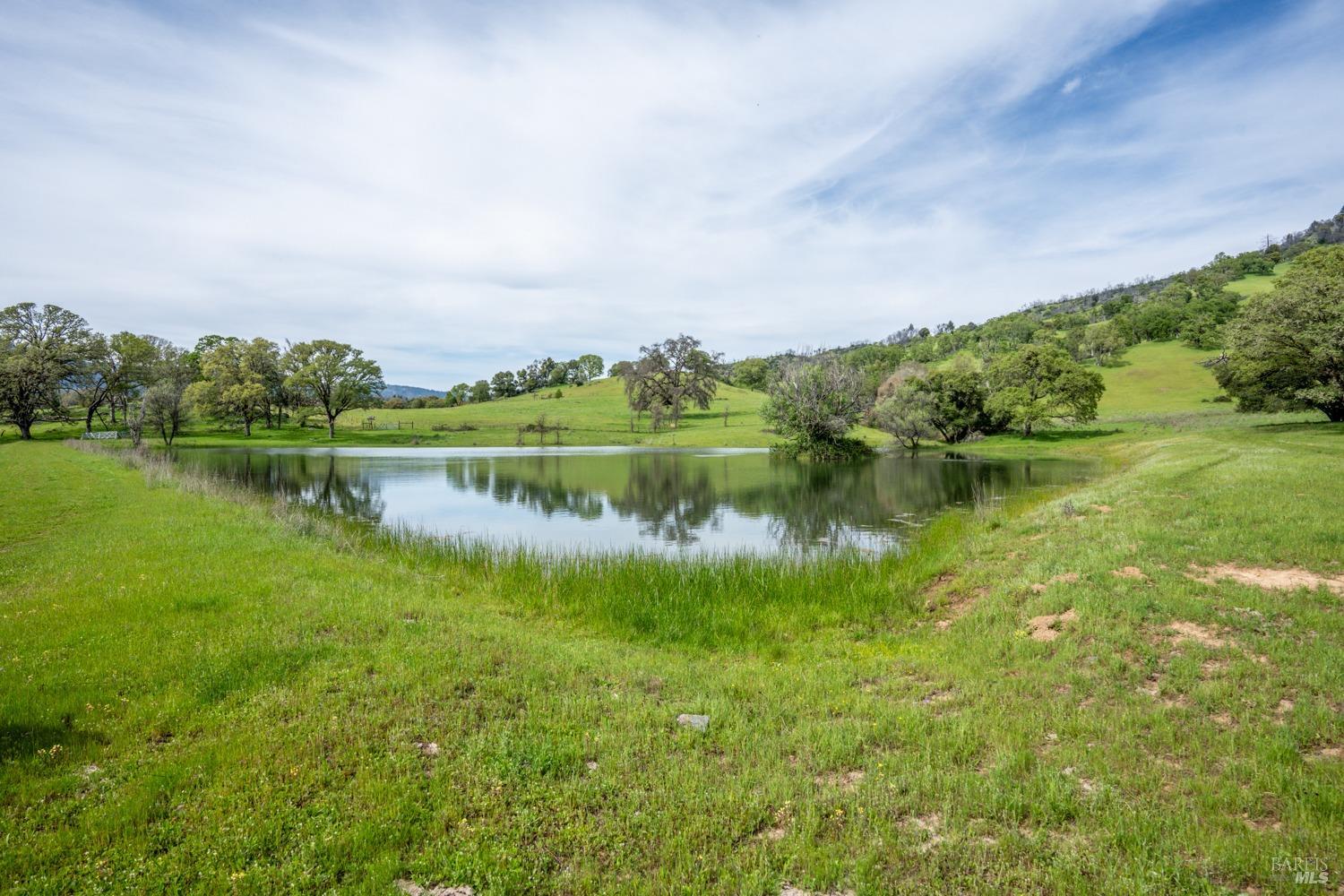 Redwood Valley, California, 95470, United States, ,5 BathroomsBathrooms,Residential,Active,1778701