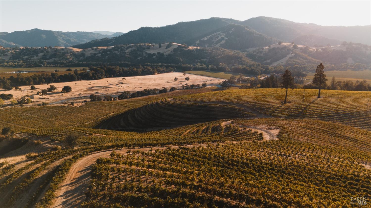 Ukiah, California, 95482, United States, 4 Bedrooms Bedrooms, ,3 BathroomsBathrooms,Residential,Active,1963393