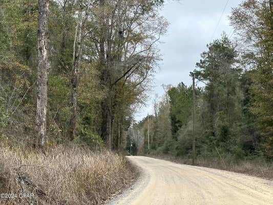 TRACT 4611 WHITE ROAD # OPEN CREEK, CHIPLEY, FL 32428 - Image 1