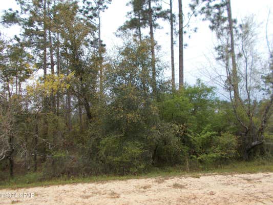 LOT 7 CASTLE CIRCLE, ALFORD, FL 32420, photo 3 of 4