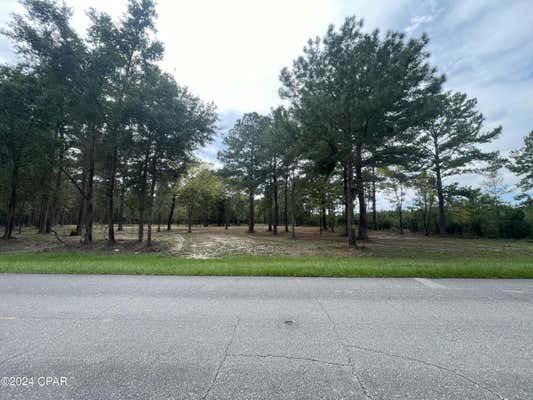 TBD CR 381, WEWAHITCHKA, FL 32465, photo 2 of 15