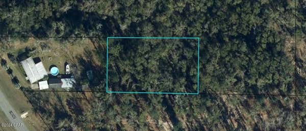 381 COUNTY ROAD 381, WEWAHITCHKA, FL 32465 - Image 1