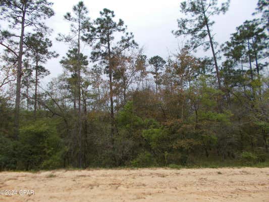 LOT 7 CASTLE CIRCLE, ALFORD, FL 32420, photo 4 of 4