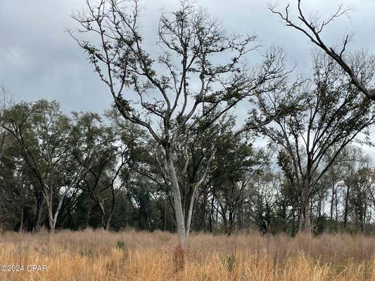 5 ACRES HWY 90, COTTONDALE, FL 32431, photo 2 of 15