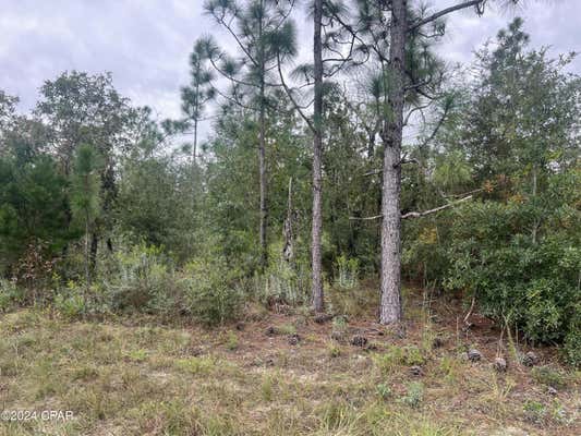 000 NW BARKSDALE LANE, FOUNTAIN, FL 32438 - Image 1