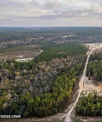 19 ACRES NE STATE ROAD 20, HOSFORD, FL 32334 - Image 1