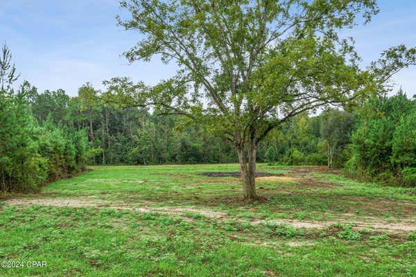 LOT 2 REDDICK MILL ROAD, GRACEVILLE, FL 32440, photo 4 of 21