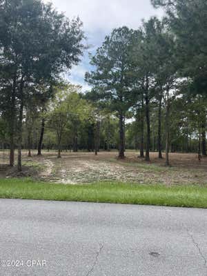 TBD CR 381, WEWAHITCHKA, FL 32465, photo 3 of 15