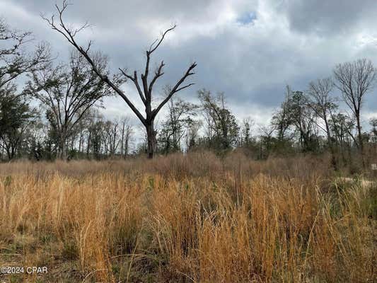 5 ACRES HWY 90, COTTONDALE, FL 32431, photo 4 of 15