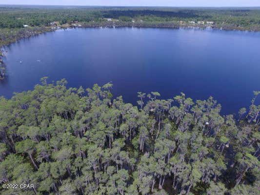 0 NW LAKE MCKENZIE BOULEVARD, ALTHA, FL 32421, photo 2 of 48