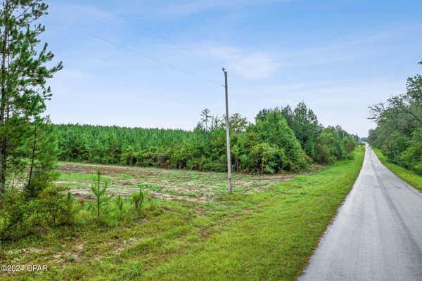 LOT 1 REDDICK MILL ROAD, GRACEVILLE, FL 32440, photo 3 of 21