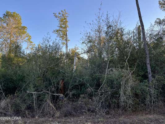 TBD DEER RUN CIRCLE, ALFORD, FL 32420, photo 3 of 8