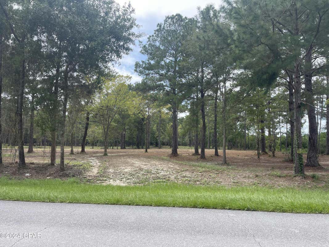 TBD CR 381, WEWAHITCHKA, FL 32465, photo 1 of 15