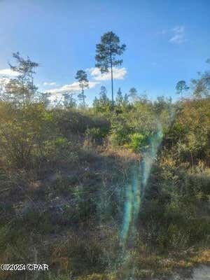 HWY 167 COUNTY ROAD #167, FOUNTAIN, FL 32438 - Image 1