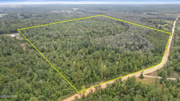 0 PIKE POND ROAD, CHIPLEY, FL 32428 - Image 1