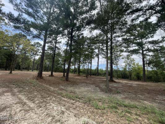 TBD CR 381, WEWAHITCHKA, FL 32465, photo 4 of 15