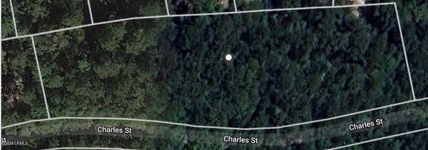 00 CHARLES STREET, VARNVILLE, SC 29944 - Image 1