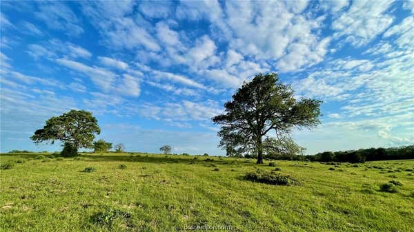 14129 VITERA SAND RD, BREMOND, TX 76629, photo 3 of 23