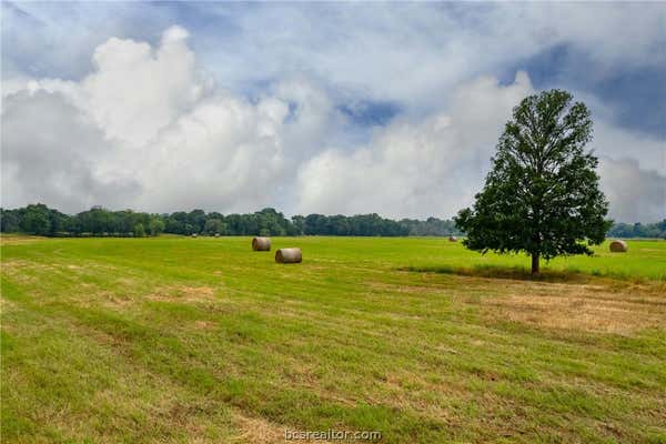 TBD (+/-13.7700 ACRES) COUNTY ROAD 307, CALDWELL, TX 77836, photo 5 of 17