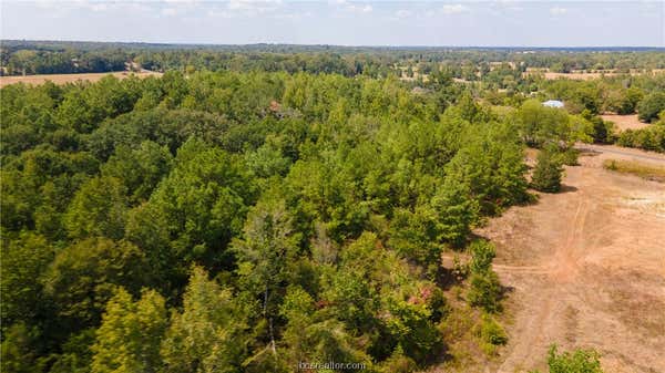 LOT 5 PVT 1100, LEONA, TX 75850, photo 2 of 13