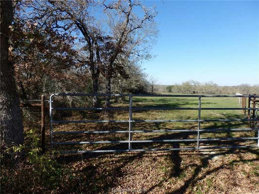 16914 COUNTY ROAD 163, IOLA, TX 77861 - Image 1