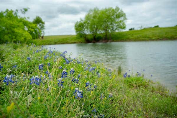 1716 CR 469, THRALL, TX 78615, photo 3 of 50