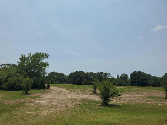 10171 ST JOHN DR, IOLA, TX 77861 - Image 1