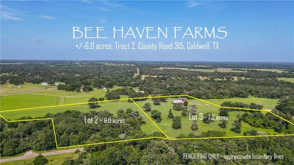 TBD COUNTY ROAD 315 (6 ACRES), CALDWELL, TX 77836 - Image 1