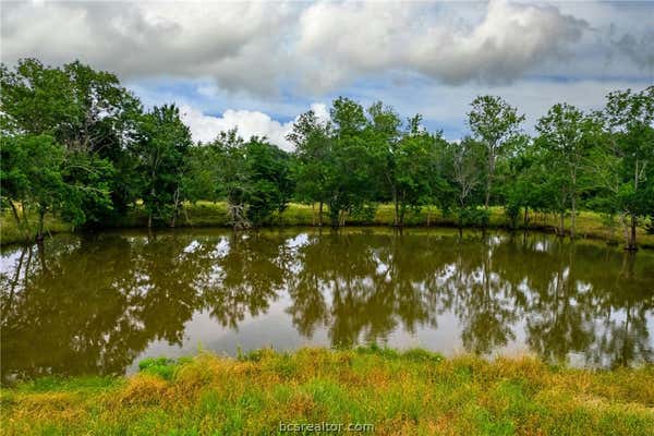 TBD (+/-13.7700 ACRES) COUNTY ROAD 307, CALDWELL, TX 77836, photo 2 of 17