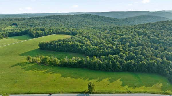 0 QUAKER LAKE ROAD, BRACKNEY, PA 18812, photo 2 of 17