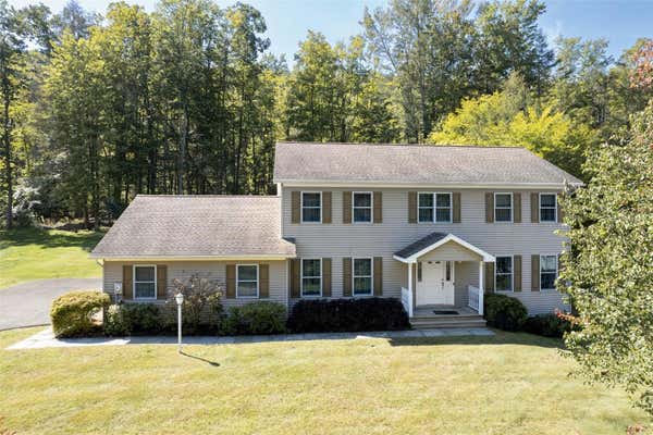 113 TAMARACK LN, VESTAL, NY 13850 - Image 1