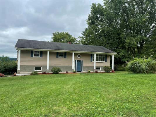 1 DEERFIELD DR, OWEGO, NY 13827 - Image 1