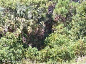 0 SATELLITE BLVD, WEST COCOA, FL 32926 - Image 1