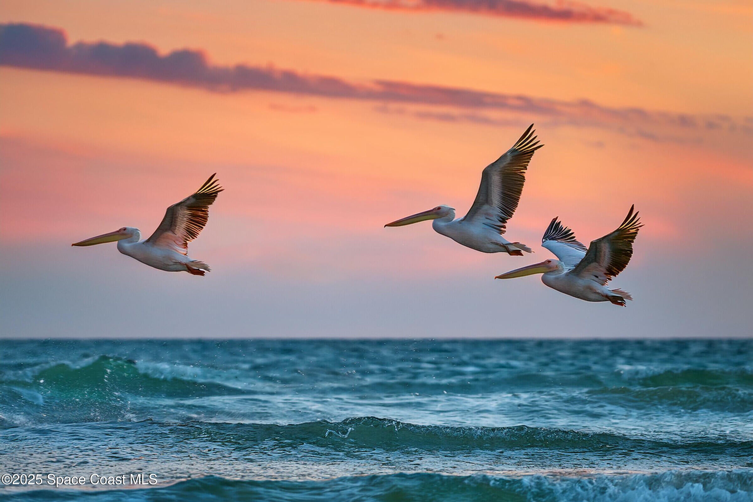 Indialantic, Florida, 32903, United States, ,4 BathroomsBathrooms,Residential,Active,1769739