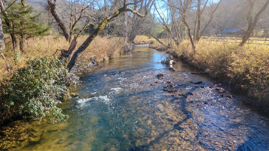 Otto, North Carolina, 28763, United States, 4 Bedrooms Bedrooms, ,6 BathroomsBathrooms,Residential,Active,2007240