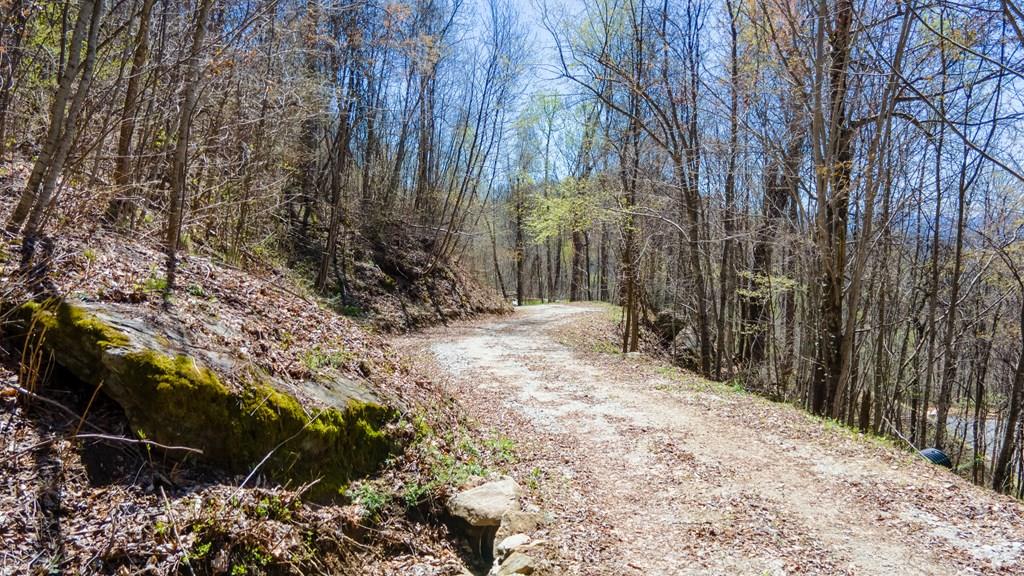 Franklin, North Carolina, 28734, United States, 2 Bedrooms Bedrooms, ,1 BathroomBathrooms,Residential,Active,1810496