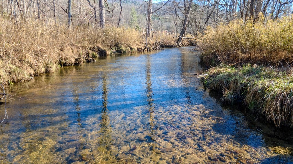Otto, North Carolina, 28763, United States, 4 Bedrooms Bedrooms, ,6 BathroomsBathrooms,Residential,Active,2007240