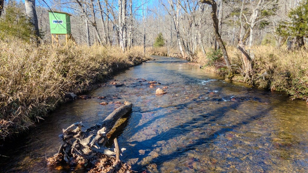 Otto, North Carolina, 28763, United States, 4 Bedrooms Bedrooms, ,6 BathroomsBathrooms,Residential,Active,2007240