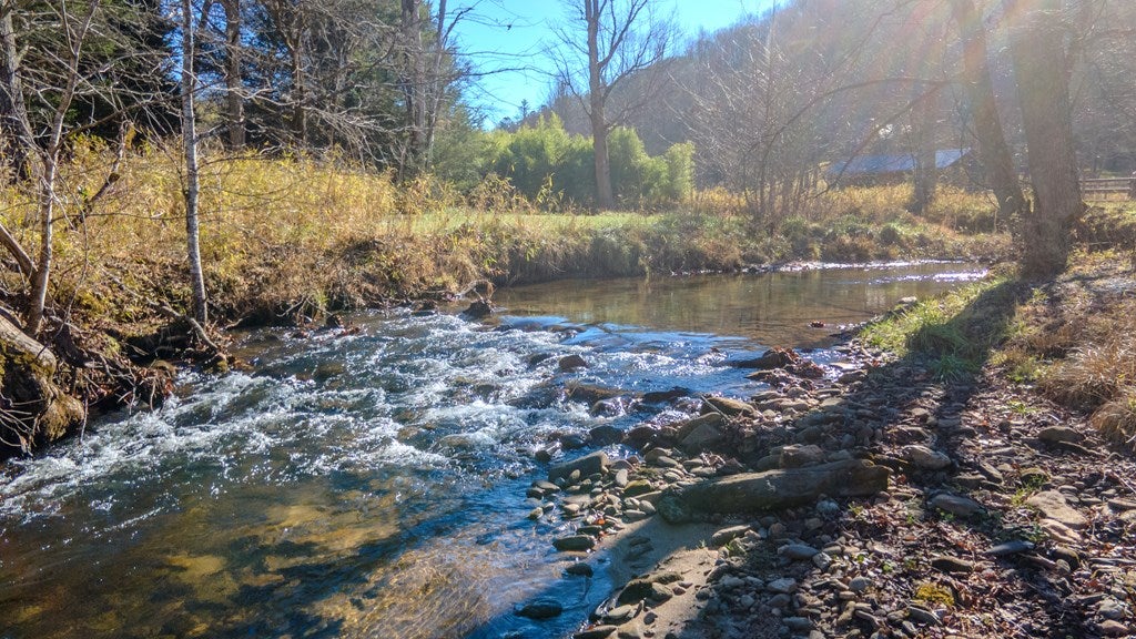 Otto, North Carolina, 28763, United States, 4 Bedrooms Bedrooms, ,6 BathroomsBathrooms,Residential,Active,2007240