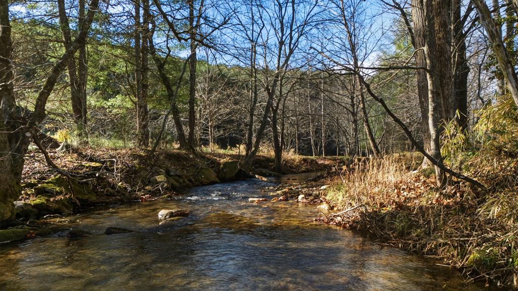 Franklin, North Carolina, 28734, United States, 3 Bedrooms Bedrooms, ,4 BathroomsBathrooms,Residential,Active,2007026