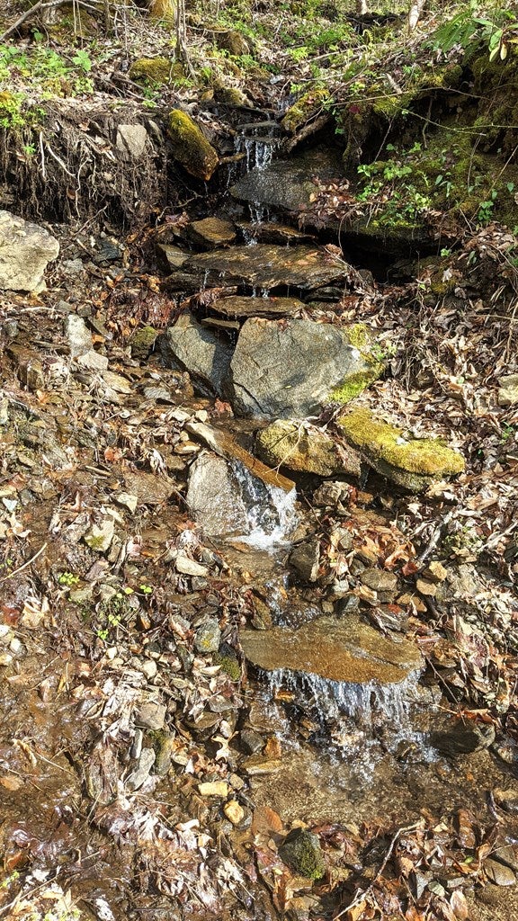 Franklin, North Carolina, 28734, United States, 2 Bedrooms Bedrooms, ,1 BathroomBathrooms,Residential,Active,1810496