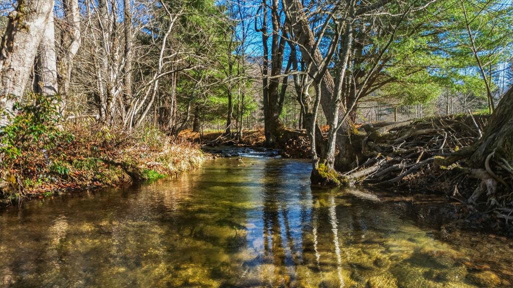 Franklin, North Carolina, 28734, United States, 3 Bedrooms Bedrooms, ,4 BathroomsBathrooms,Residential,Active,2007026