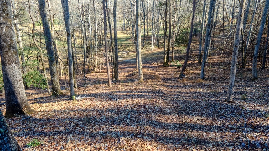 Otto, North Carolina, 28763, United States, 4 Bedrooms Bedrooms, ,6 BathroomsBathrooms,Residential,Active,2007240