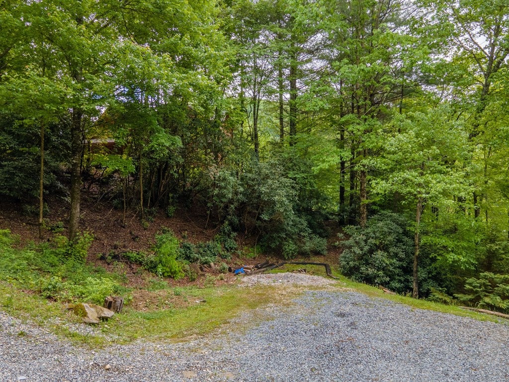 Topton, North Carolina, 28781, United States, 3 Bedrooms Bedrooms, ,4 BathroomsBathrooms,Residential,Active,2007166