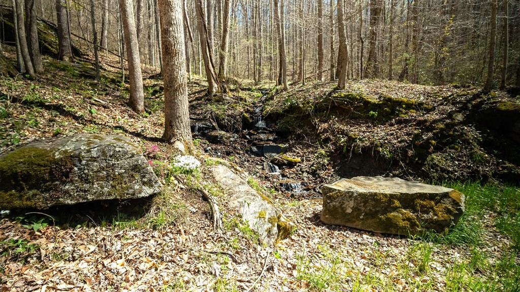 Franklin, North Carolina, 28734, United States, 2 Bedrooms Bedrooms, ,1 BathroomBathrooms,Residential,Active,1810496