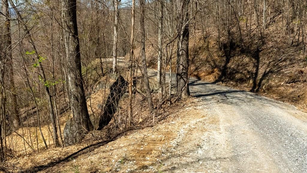 Franklin, North Carolina, 28734, United States, 2 Bedrooms Bedrooms, ,1 BathroomBathrooms,Residential,Active,1810496