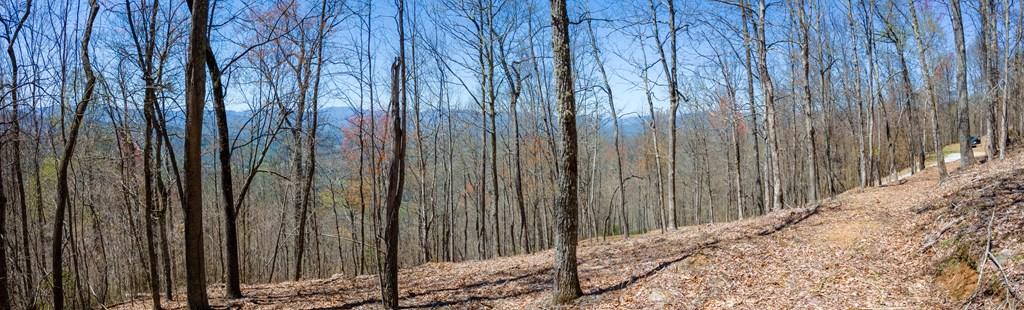 Franklin, North Carolina, 28734, United States, 2 Bedrooms Bedrooms, ,1 BathroomBathrooms,Residential,Active,1810496