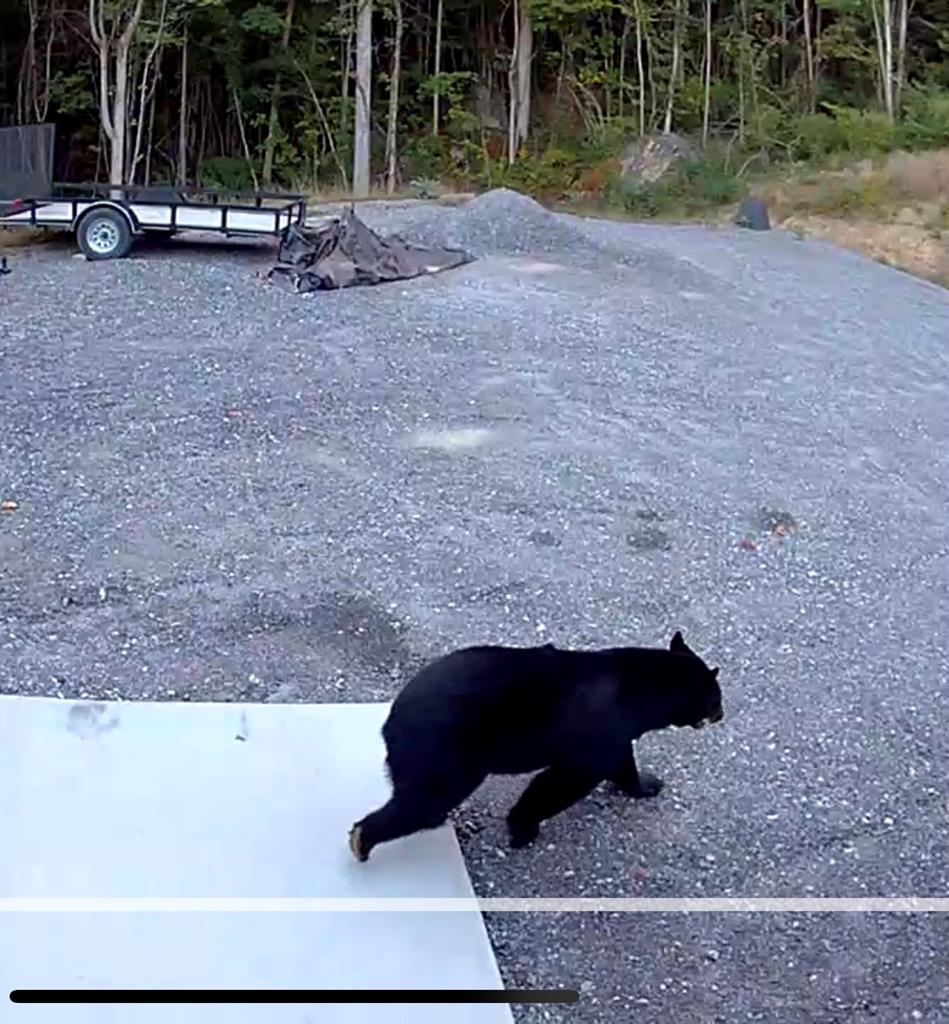 Franklin, North Carolina, 28734, United States, 2 Bedrooms Bedrooms, ,1 BathroomBathrooms,Residential,Active,1810496