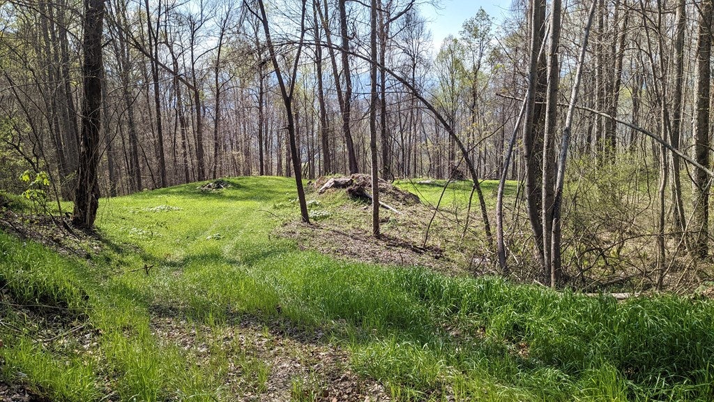 Franklin, North Carolina, 28734, United States, 2 Bedrooms Bedrooms, ,1 BathroomBathrooms,Residential,Active,1810496